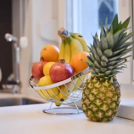 Friendly Ap Balkan-inn 公寓 贝尔格莱德